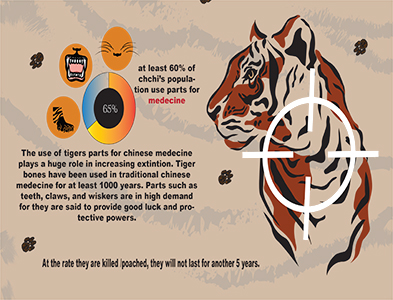 infograph